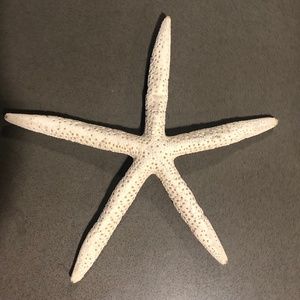 Starfish